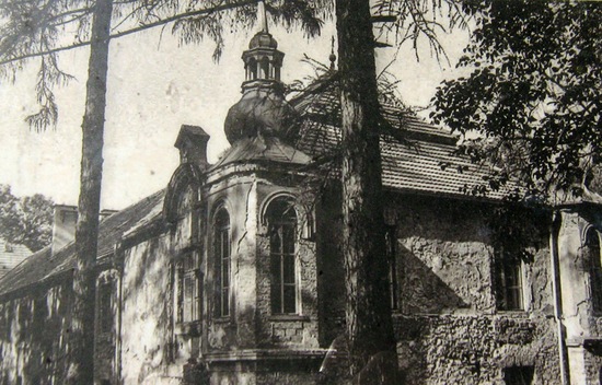 Historia zamku Kamień Śląski Historia zamku Kamien Slaski
