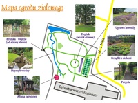 Mapa ogrodu zielnego w Kamieniu Śląskim mapa ogrodu ziolowego - kamien slaski