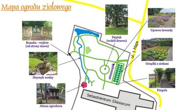 kamien slaski - mapa ogrodu ziolowego Mapa ogrodu ziołowego w Kamieniu Śląskim