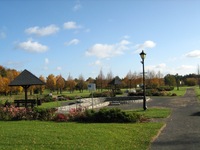 kamien slaski