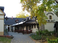 kamien slaski - palac