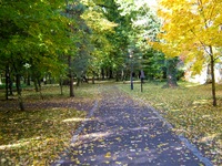 kamien slaski - park
