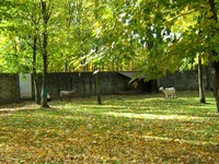 kamien slaski - park