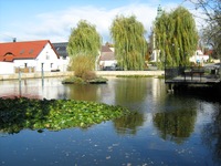kamien slaski - park