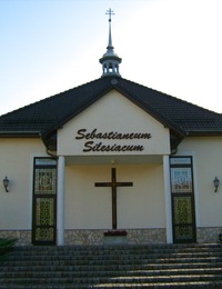 kamien slaski