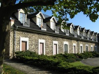 kamien slaski