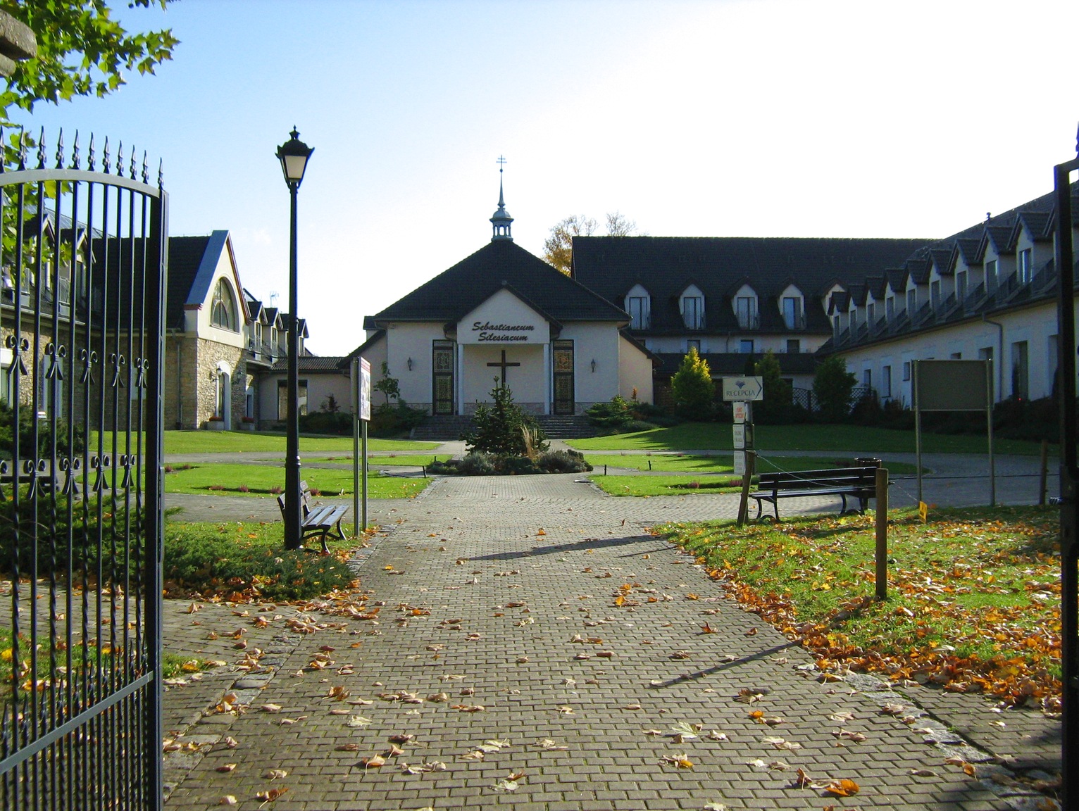 kamien slaski