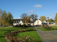 kamien slaski