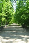 Przejdź do działu - Park w Mosznej park w mosznej